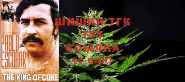 spice Бугульма