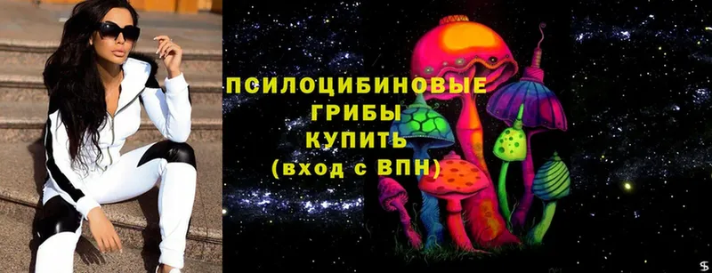 MEGA tor  Ардатов  Галлюциногенные грибы Cubensis 